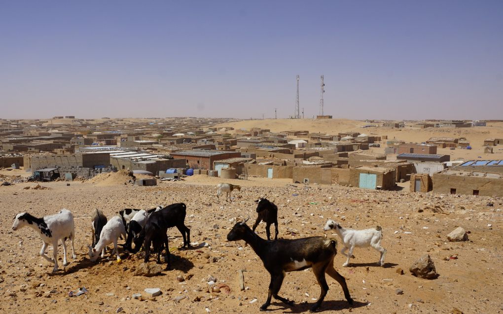 Vluchtelingenkamp Bojador in Algerije. beeld Lex Rietman