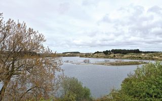 Een meer in de duinen met daarin een eilandje, waar veel vogels zitten. Het is bewolkt.