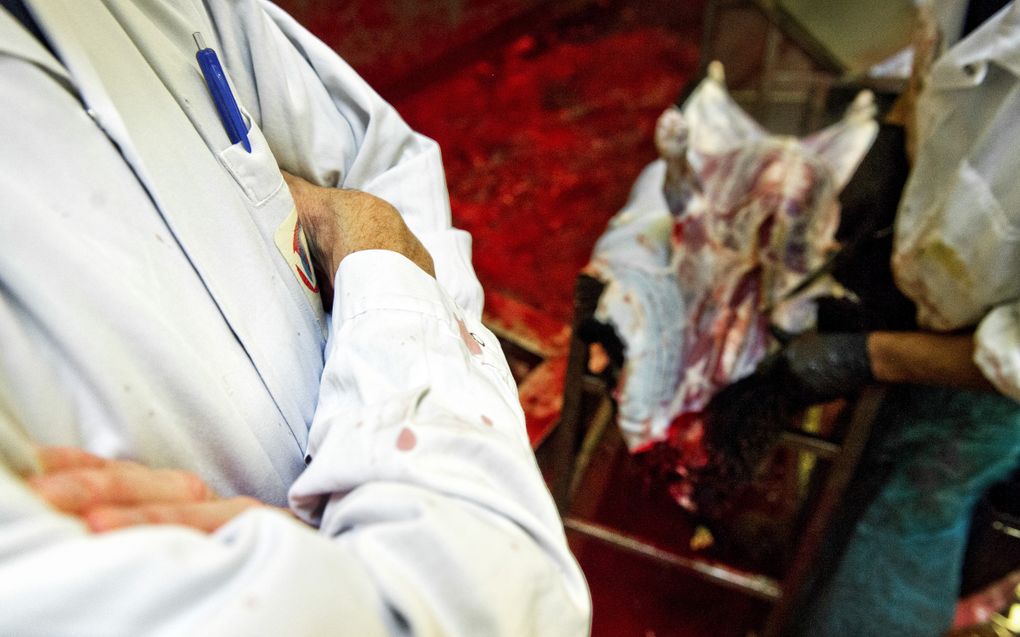 Links de torso van een man in een witte jas met zijn armen over elkaar. Rechts is vaag een slager te zien die een schaap van zijn huid ontdoet.