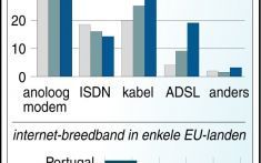 <center>Infografiek internet in Nederland </center>