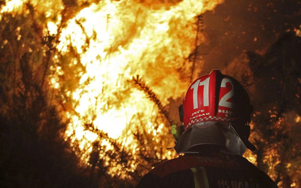 Twee brandweerlieden zijn omgekomen bij het blussen van een bosbrand. Foto EPA