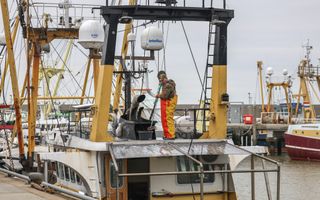 Een man in werkkleding schrobt het dak van een stuurhut van een vissersschip schoon. In de haven liggen meer viskotters.