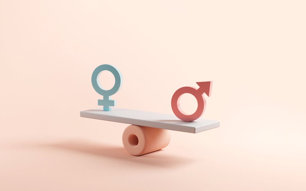 Illustratie van een wip met aan de ene kant het man-symbool en aan de andere kant het vrouw-symbool.