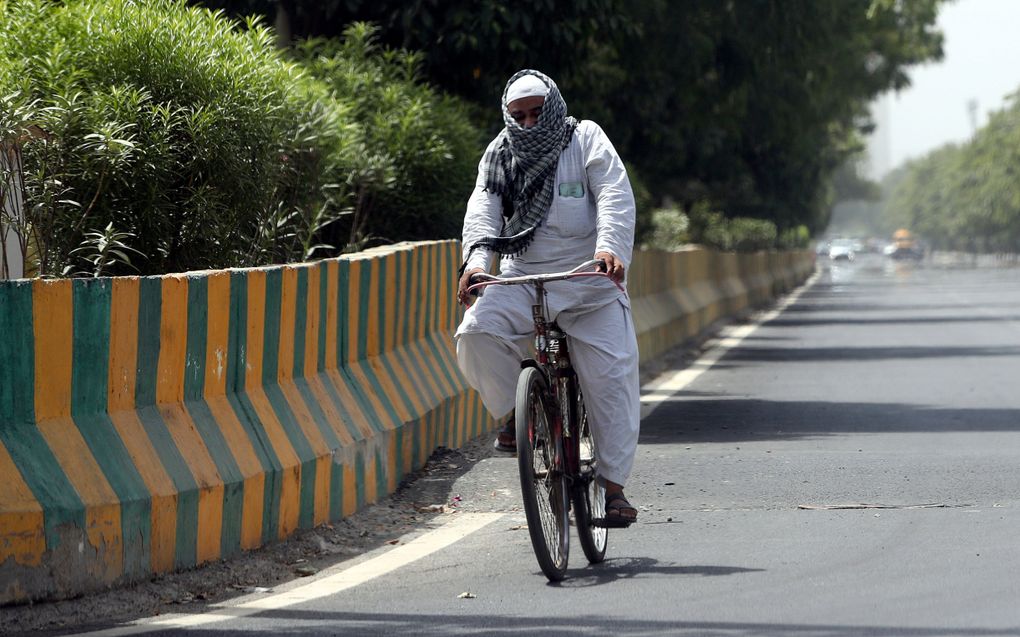 Een fietser bedekt zijn hoofd met een handdoek tegen de hitte in New Delhi. beeld EPA, Harish Tyagi 