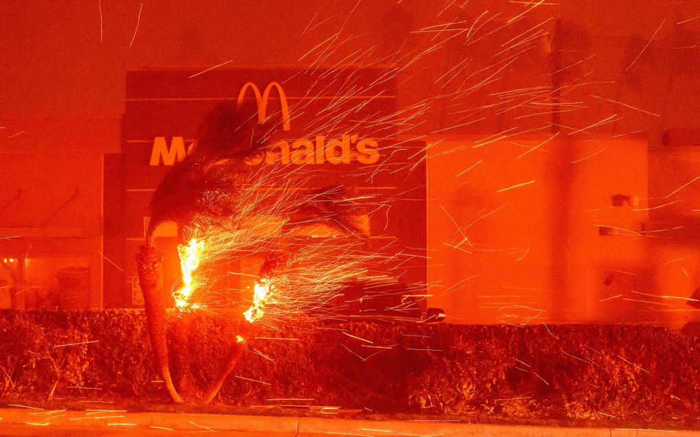 Een McDonalds in de vuurzee in Los Angeles. De stad wordt geteisterd door een natuurbrand. beeld AFP, Josh Edelson 