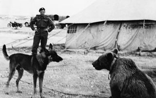 Zwart-witfoto van een soldaat met een zittende beer tegenover zich. 