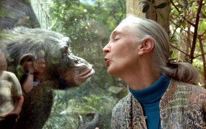 Primatoloog Jane Goodall (91) overleden