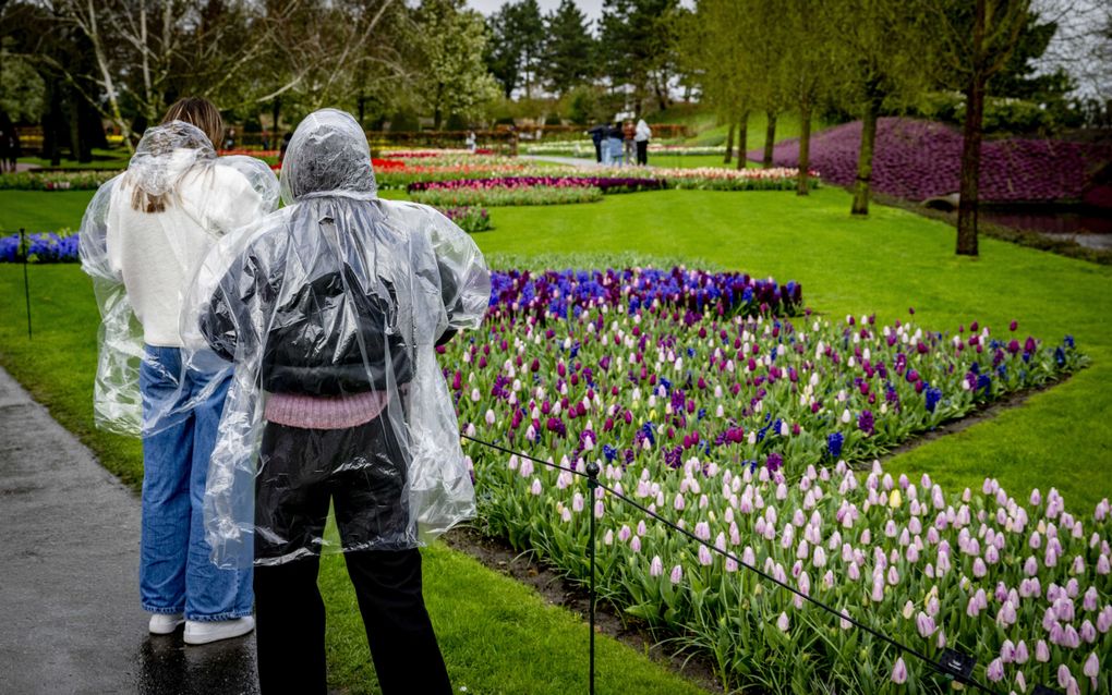 Toeristen in de regen in de Keukenhof. beeld ANP, ROBIN UTRECHT