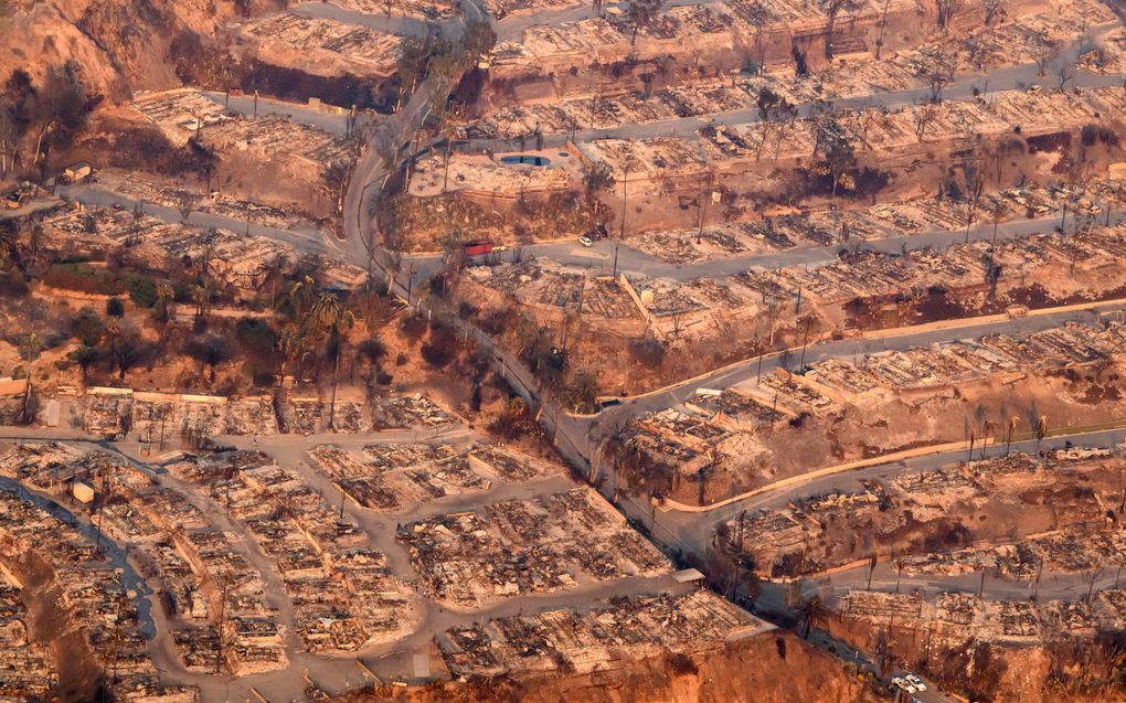 Bosbranden vaagden een woonwijk weg in Pacific Palisades, een district van Los Angeles. beeld AFP, Josh Edelson