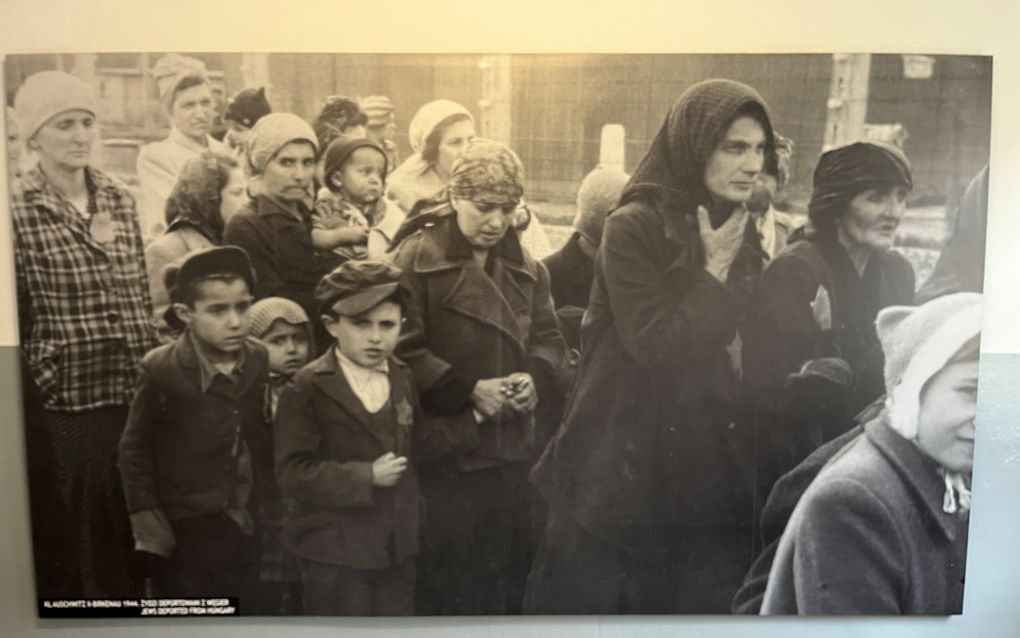 Op weg naar de gaskamer. Een van de vele foto’s in Museum Auschwitz. beeld RD