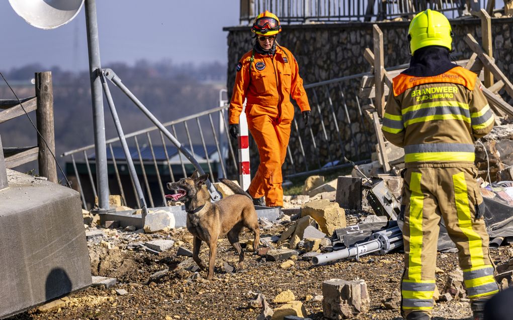 Teamleden van USAR met een speurhond bij de Wilhelminatoren in Valkenburg die is ingestort. De uitkijktoren op de Heunsberg, een rijksmonument, is een bekende trekpleister in de Zuid-Limburgse plaats. beeld ANP, Marcel van Hoorn