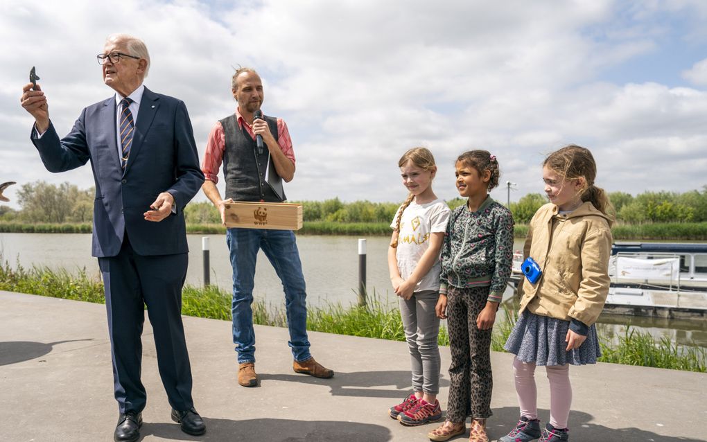 Prof. mr. Pieter van Vollenhoven deelde vorig jaar juni in Werkendam steurfiguurtjes uit tijdens het uitzetten van steuren in Nationaal Park De Biesbosch. beeld ANP, Jeroen Jumelet