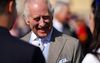 Koning Charles, vorige week. beeld AFP, Jordan Pettitt
