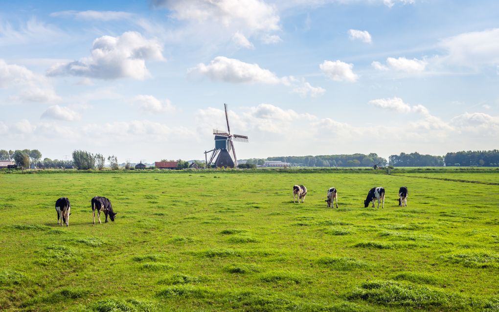 Typisch Zuid-Hollandse landschap in de buurt van het dorp Bleskensgraaf. beeld iStock