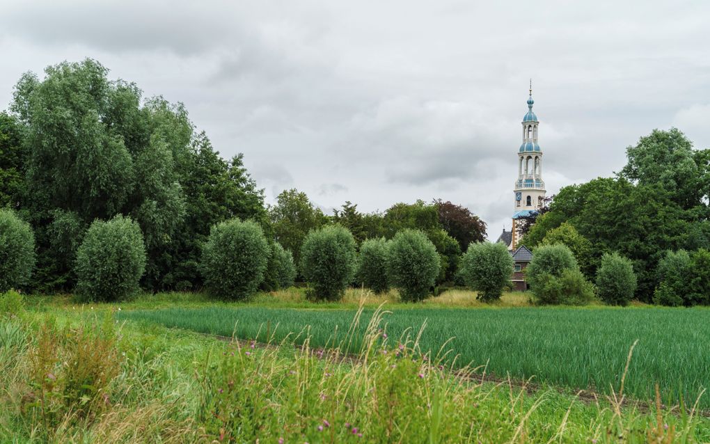 De kleurige toren van de Mariakerk in Uithuizermeeden steekt boven het groen uit. beeld Reyer Boxem 