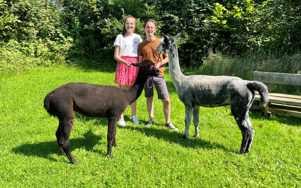 Monty en Pitchu genieten van hun ommetje. beeld Henrieke Boers