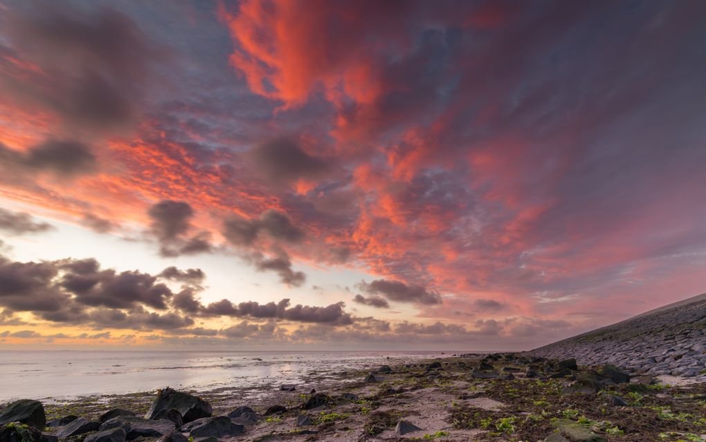 Door gaswinning onder de Waddenzee zou de zeebodem kunnen dalen. beeld iStock