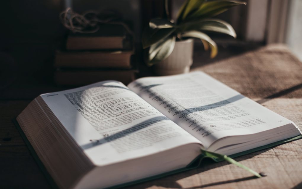 Wilma Samyn en Marieke den Butter willen met hun boek ”Vasthouden en doorgeven” ouders en jeugdwerkers toerusten. beeld Unsplash 