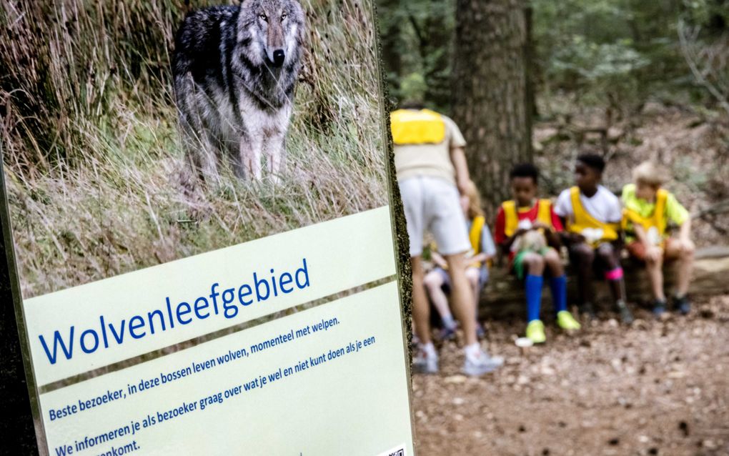 Een waarschuwingsbord voor de wolf in de bossen bij de Utrechtse Heuvelrug. De provincie Utrecht en diverse gemeenten roepen mensen in op om voorlopig niet met kleine kinderen in de bossen te komen. Aanleiding is een incident van bij Austerlitz. beeld ANP, Rob Engelaar