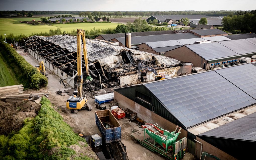 In het Brabantse Reusel brandde vorig jaar mei een varkensstal af. Zo’n 3000 dieren overleefden het niet. beeld ANP, Rob Engelaar