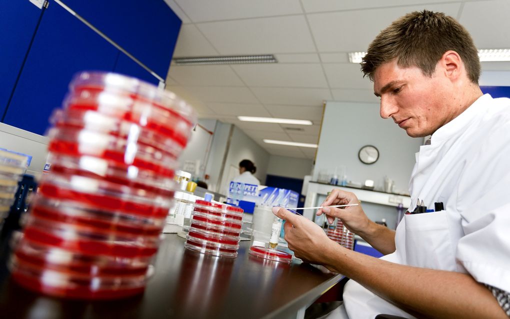 Een laborant maakt een bacteriekweek in het lab van het Rijnstateziekenhuis in Velp. Antibioticaresistentie is wereldwijd een groeiend probleem. beeld ANP, Sander Koning