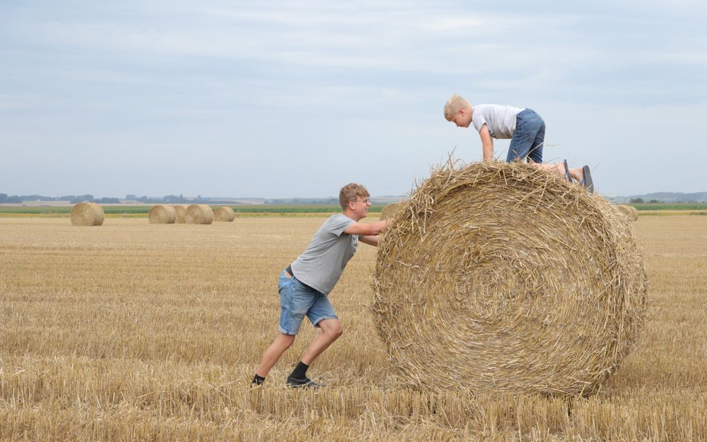 De broers Van der Hoek spelen een spel in een Frans veld: Lucas beproeft zijn krachten terwijl Daniël boven op de strobaal zijn evenwicht moet zien te bewaren. beeld Metine van der Hoek