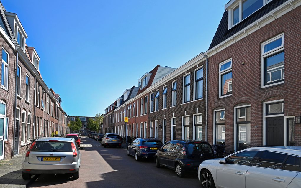 Schaduw zoeken onder een boom is onmogelijk in deze straat in de Generaalsbuurt in Haarlem. beeld Paul Dijkstra