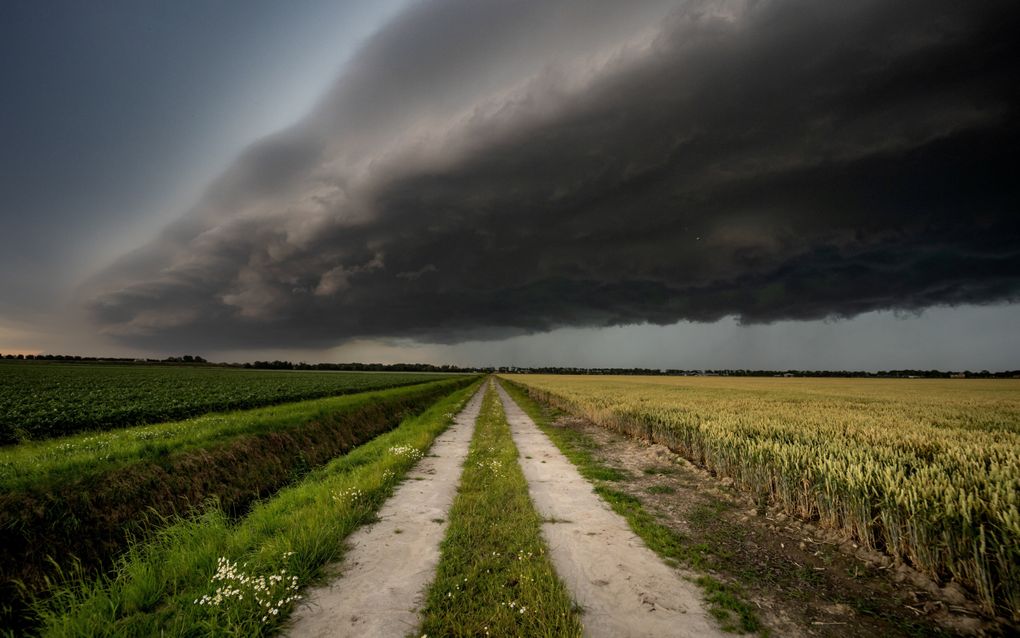 Een zware regenbui passeert het dorp Oud-Beijerland. beeld ANP, Jeffrey Groeneweg 