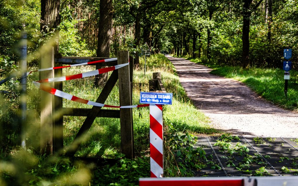 Landgoed Den Treek in Leusden is nog tot 1 september afgesloten na diverse incidenten met wolven. beeld ANP, Jeffrey Groeneweg