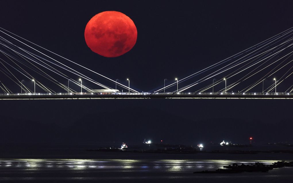 De eerste Supermaan van het jaar, die de Steurmaan of Oogstmaan wordt genoemd, schijnt achter de Rande-brug in Vigo, Spanje. beeld EPA, Sxenick