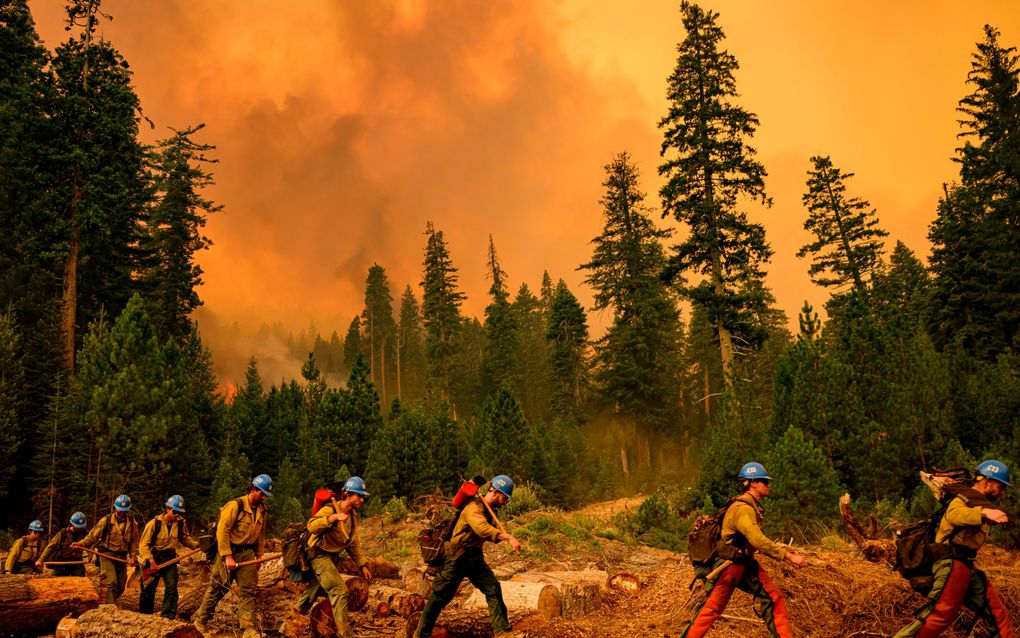 Een team speciale bosbrandbestrijders van Plumas Hotshots in de weer in Californië begin augustus. beeld AFP, Josh Edelson