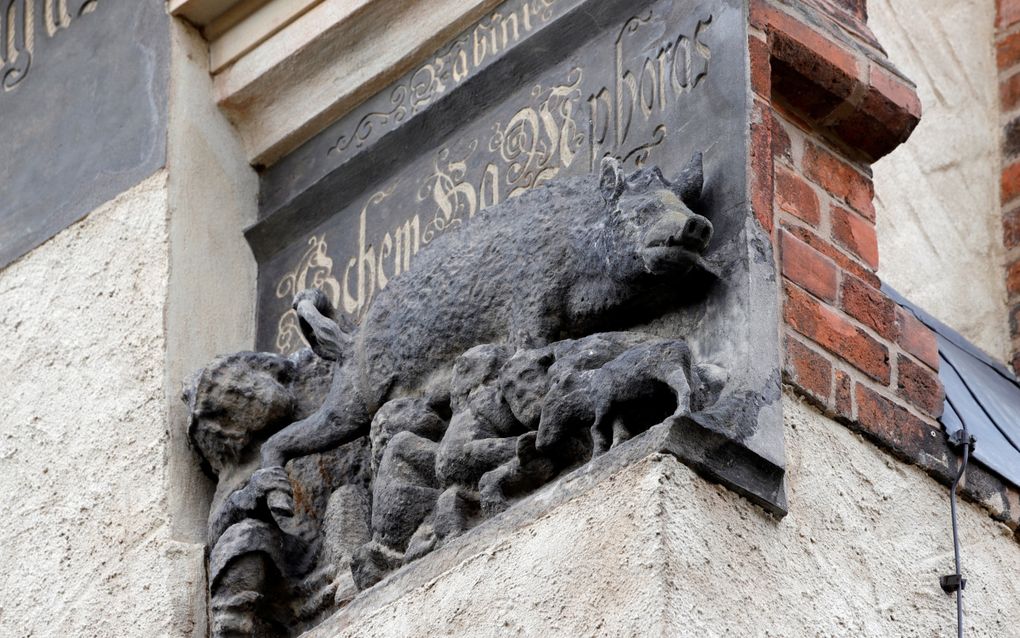 De ”Jodenzeug” op de gevel van de Stadskerk in Wittenberg. beeld EPA, Felipe Trüba. 