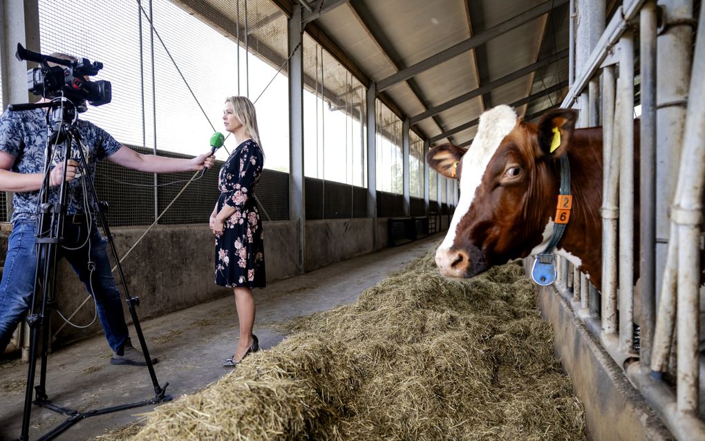 Landbouwminister Femke Wiersma (BBB) tijdens een werkbezoek aan een melkveebedrijf. beeld ANP, Robin van Lonkhuijsen 