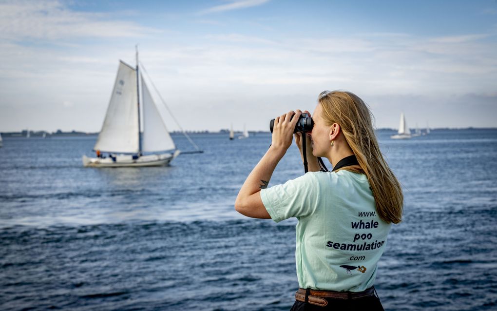 Vrijwilligers zoeken tijdens de Nationale Walvisteldag langs de kust bij Zierikzee naar walvisachtigen. beeld ANP, ROBIN UTRECHT