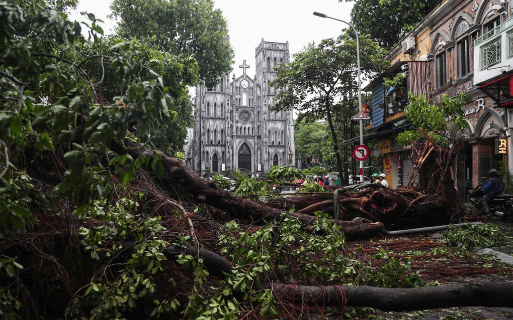 Tyfoon Yagi heeft bomen omver geblazen in Hanoi. beeld AFP