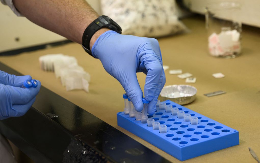 Een chemicus van de Drug Enforcement Administration controleert in beslag genomen poeder met fentanyl in een laboratorium in New York. beeld AFP, Don Emmert