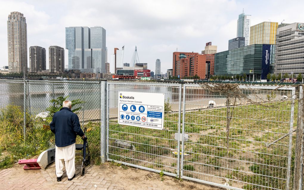 In de Rijnhaven in Rotterdam komen extra woningen. Volgens een nieuw rapport van het PBL vond rond de 60 procent van de woningbouw in de laatste tien jaar plaats binnen bestaand bebouwd gebied. beeld ANP, Jeffrey Groeneweg