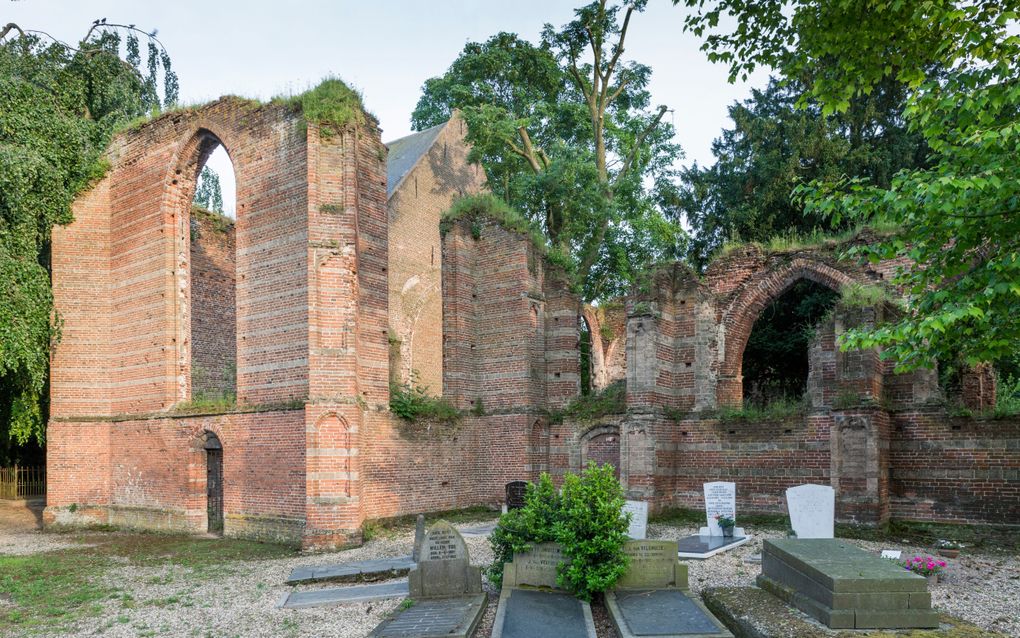 Ruïne van de kerk in Ammerzoden. beeld Sjaak Verboom