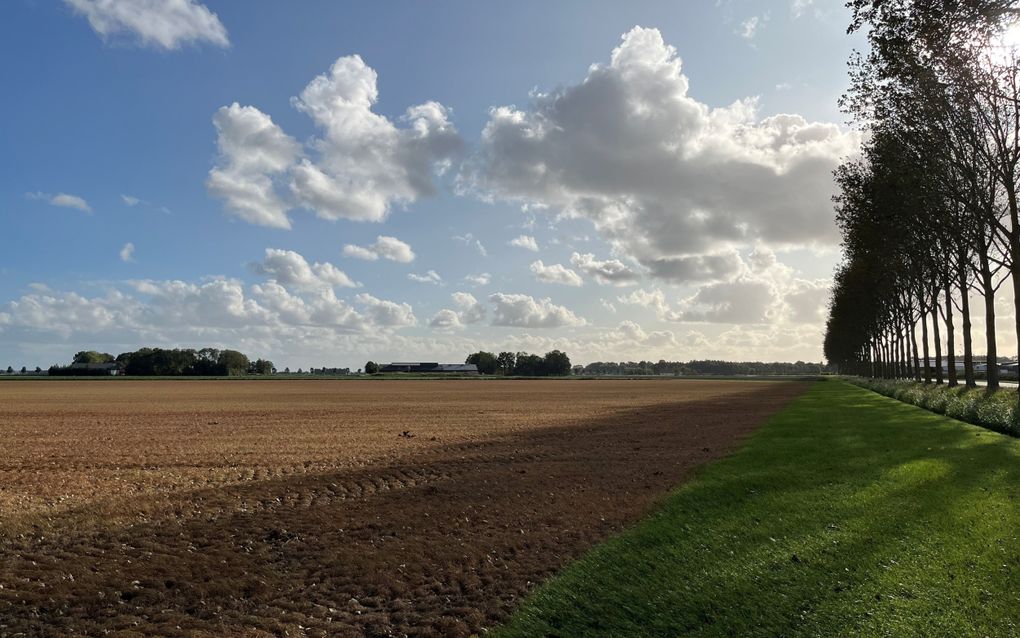 Akker in Creil (Flevoland) die bespoten is met de onkruidverdelger glyfosaat (Roundup). beeld RD