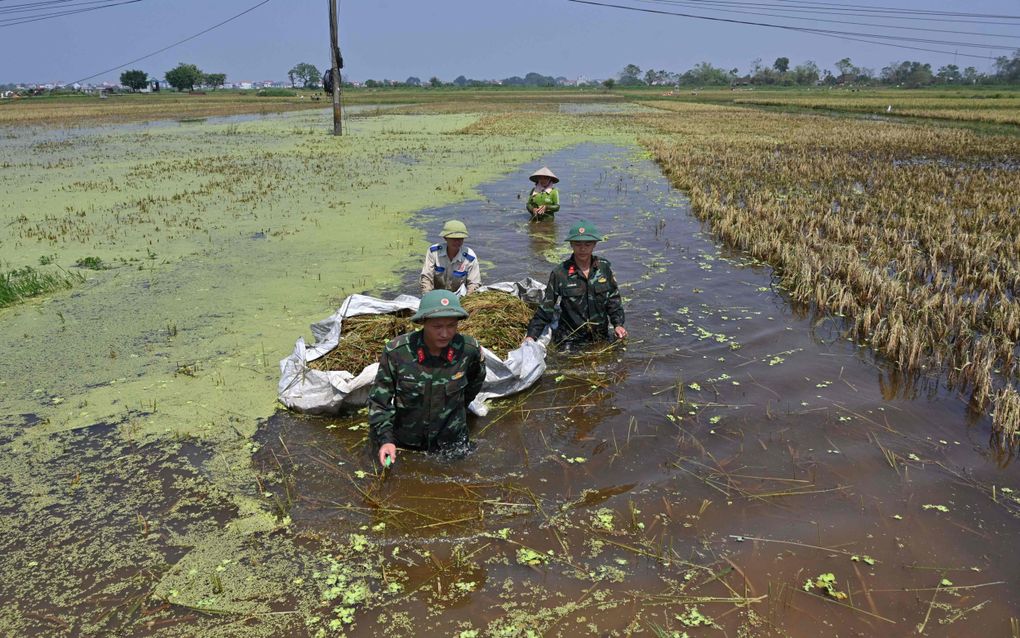 beeld AFP, Nhac Nguyen