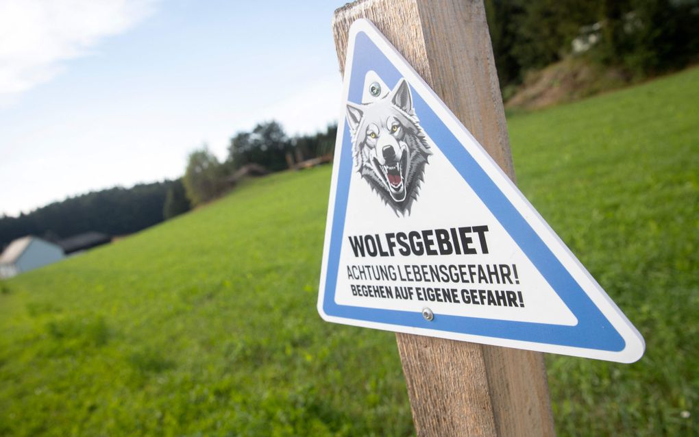 Een bord waarschuwt voor wolven in het Oostenrijkse Arzbesbach. beeld AFP, Alex Halada