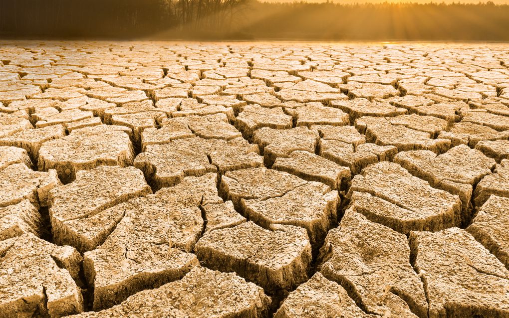  ”En zie, het was niet goed meer”, zo luidt de titel van het proefschrift van theologe Carola Dahmen. Het verwijst naar de gebrokenheid van de schepping door onder meer de klimaatcrisis. beeld iStock