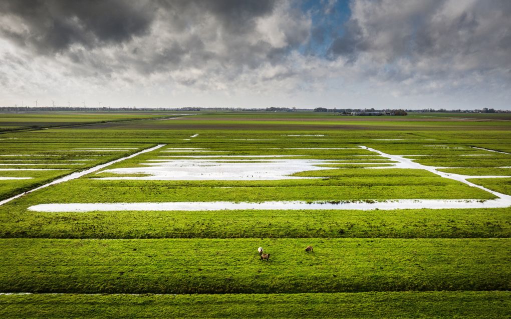 Ondergelopen weilanden in de Hoeksche Waard. beeld ANP, Jeffrey Groeneweg 