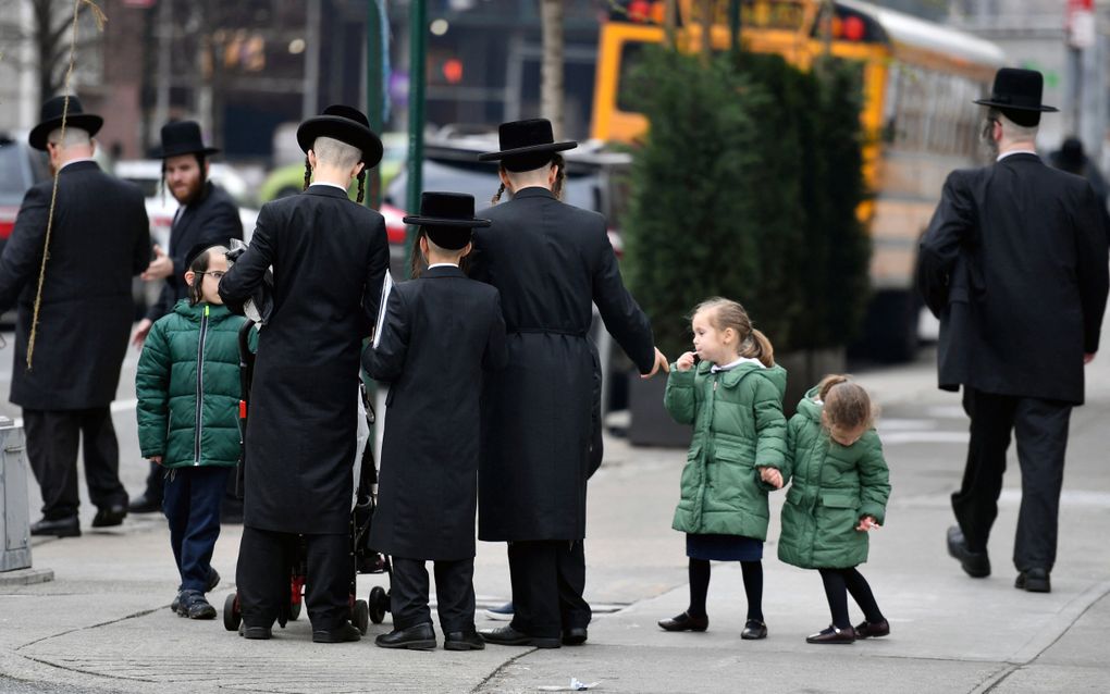 Het straatbeeld in Brooklyn wordt beheerst door mannen die zwarte jassen en hoeden dragen, en baarden en ”peies” (pijpenkrullen langs de slapen) hebben. beeld AFP, Angela Weiss