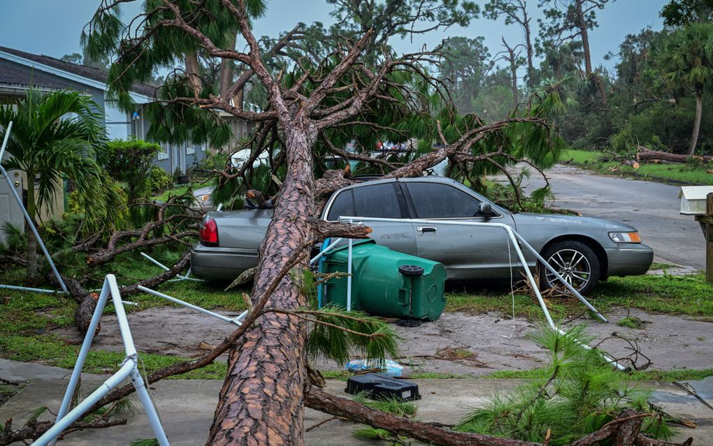 Meerdere personen in Florida stierven nadat ze getroffen werden door omvallende bomen. beeld AFP, Giorgio Viera