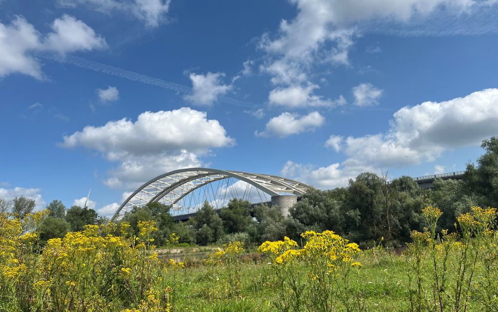 De Van Brienenoordbrug, vanaf het Eiland van Brienenoord. beeld RD