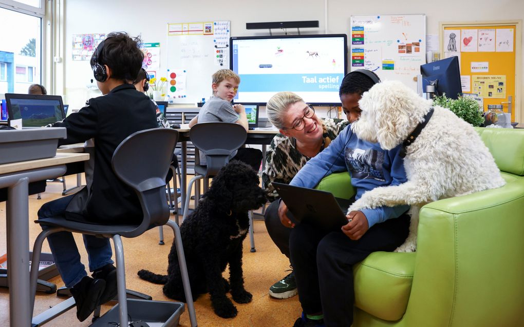 Anouk Wierema Kosters werkt met een hulphond op een basisschool voor speciaal onderwijs. De hond ondersteunt daar leerlingen met een andere leerstijl of onderwijsbehoefte. beeld Vincent Jannink