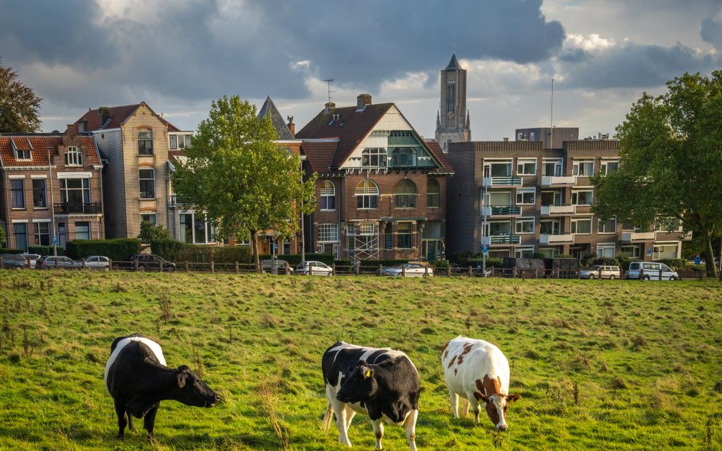 „De mens is ten opzichte van zijn Schepper rentmeester over de tijd en energie die hij krijgt én over alle middelen (grond, gebouwen, goederen, geld) die hem toevertrouwd worden.” Foto: Arnhem. beeld iStock