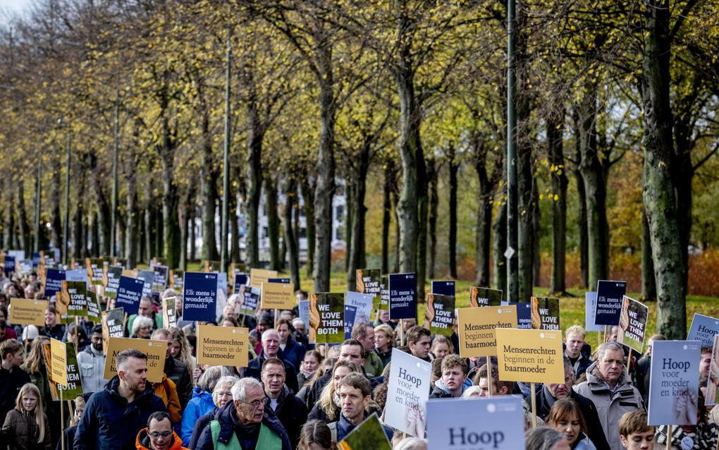 Deelnemers aan de jaarlijkse Mars voor het leven, vorig jaar. beeld ANP, Robin Utrecht