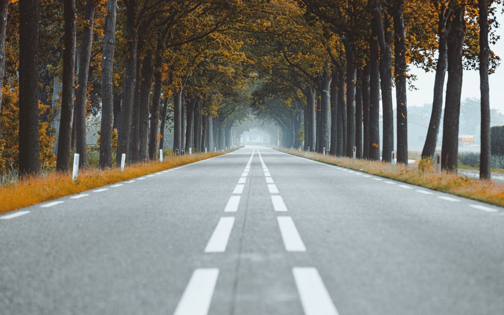 „De ”vernauwing van het denken” komt zeer veel voor bij mensen die zich suïcidaal voelen of een sterke doodswens hebben.” beeld iStock